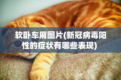 軟臥車廂圖片(新冠病毒陽性的癥狀有哪些表現) 