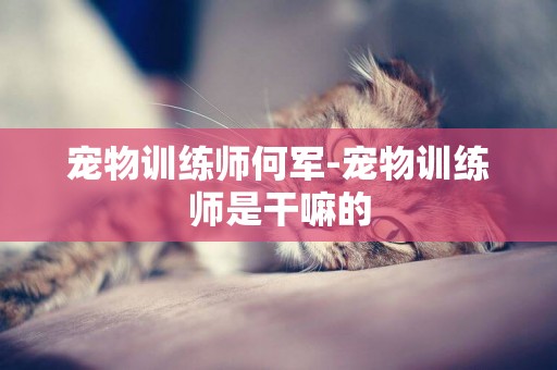 寵物訓練師何軍-寵物訓練師是干嘛的