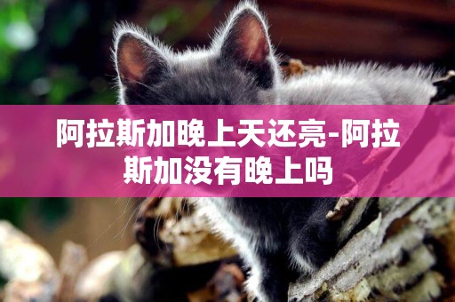 阿拉斯加晚上天還亮-阿拉斯加沒有晚上嗎