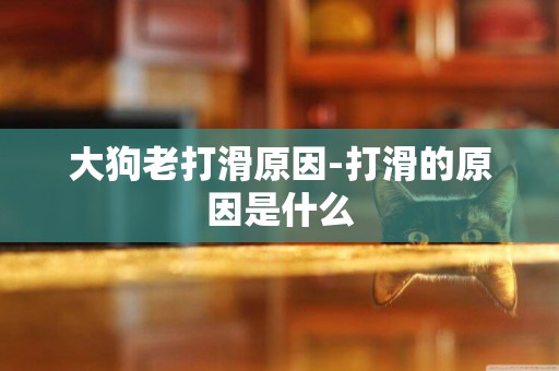 大狗老打滑原因-打滑的原因是什么