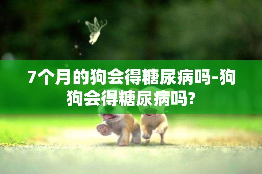 7個月的狗會得糖尿病嗎-狗狗會得糖尿病嗎?