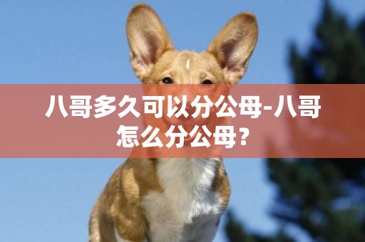 八哥多久可以分公母-八哥怎么分公母？