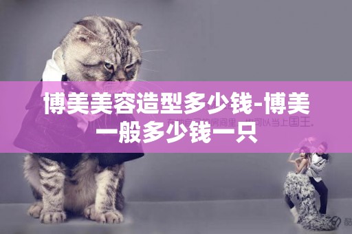 博美美容造型多少錢-博美一般多少錢一只
