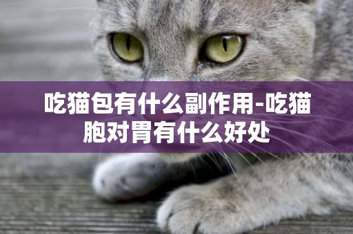 吃貓包有什么副作用-吃貓胞對胃有什么好處