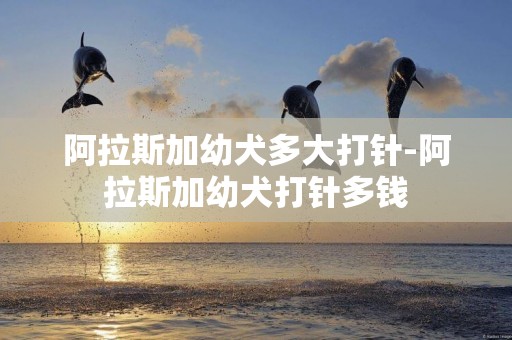 阿拉斯加幼犬多大打針-阿拉斯加幼犬打針多錢