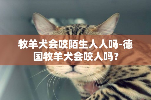 牧羊犬會咬陌生人人嗎-德國牧羊犬會咬人嗎？