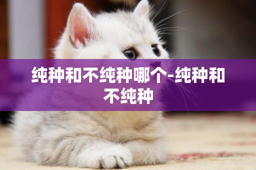 純種和不純種哪個-純種和不純種