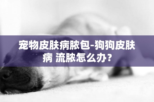 寵物皮膚病膿包-狗狗皮膚病 流膿怎么辦？