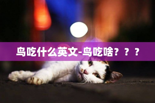 鳥吃什么英文-鳥吃啥？？？