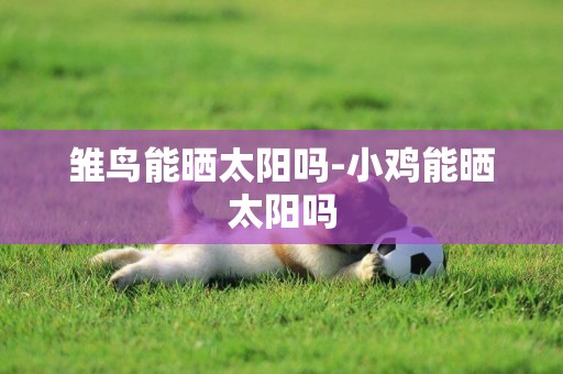 雛鳥能曬太陽嗎-小雞能曬太陽嗎