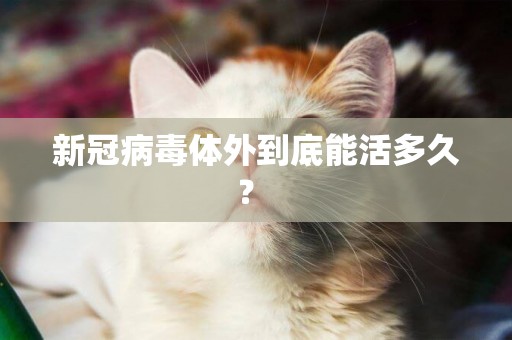 新冠病毒體外到底能活多久？ 