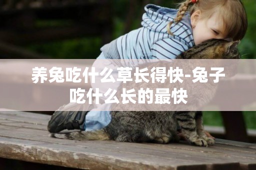 養兔吃什么草長得快-兔子吃什么長的最快