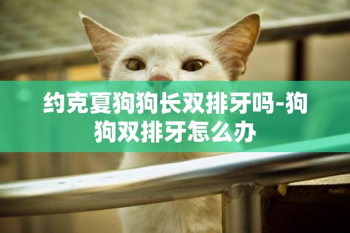 約克夏狗狗長雙排牙嗎-狗狗雙排牙怎么辦