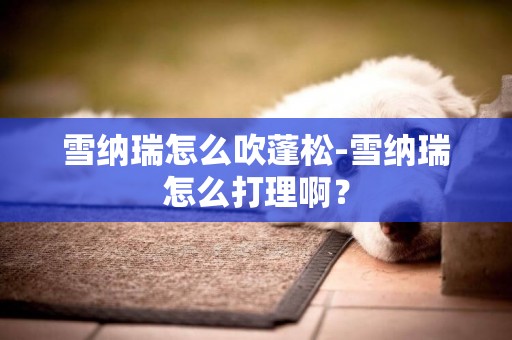 雪納瑞怎么吹蓬松-雪納瑞怎么打理啊？