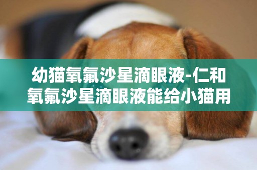 幼貓氧氟沙星滴眼液-仁和氧氟沙星滴眼液能給小貓用嗎？