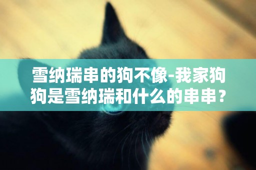 雪納瑞串的狗不像-我家狗狗是雪納瑞和什么的串串？能看出來么？