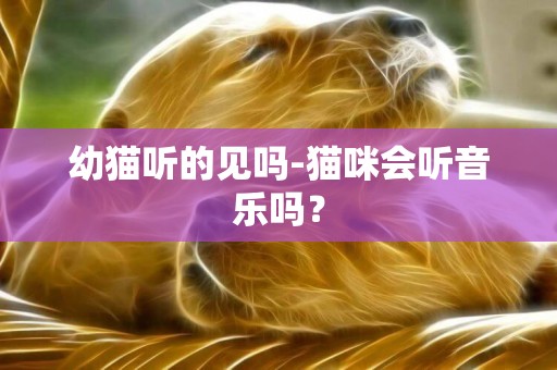 幼貓聽的見嗎-貓咪會聽音樂嗎？