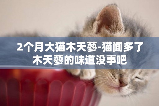 2個月大貓木天蓼-貓聞多了木天蓼的味道沒事吧