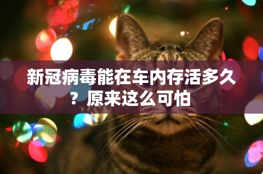 新冠病毒能在車內存活多久？原來這么可怕 