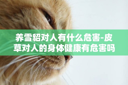 養雪貂對人有什么危害-皮草對人的身體健康有危害嗎