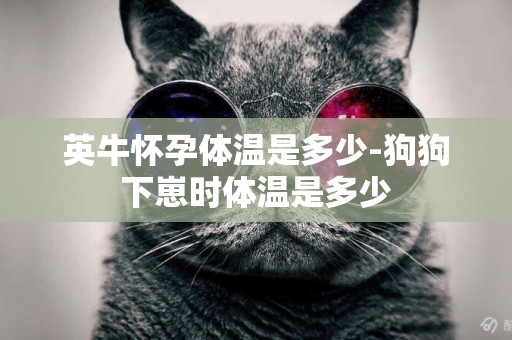 英牛懷孕體溫是多少-狗狗下崽時體溫是多少