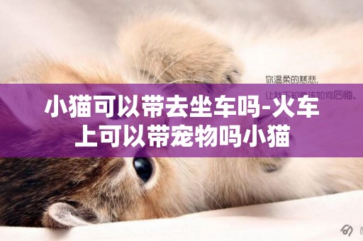 小貓可以帶去坐車嗎-火車上可以帶寵物嗎小貓