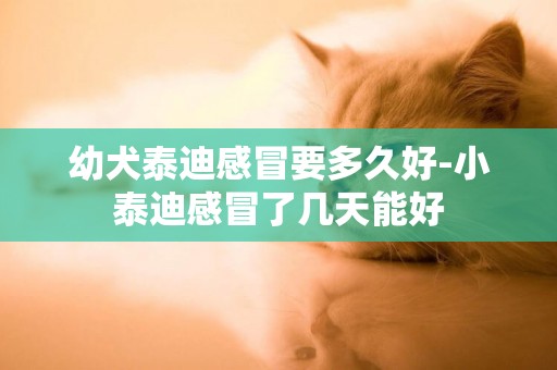 幼犬泰迪感冒要多久好-小泰迪感冒了幾天能好