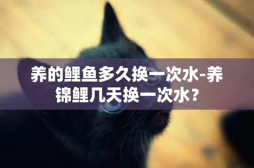 養的鯉魚多久換一次水-養錦鯉幾天換一次水？