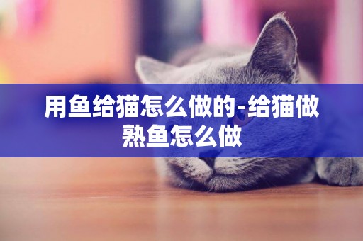 用魚給貓怎么做的-給貓做熟魚怎么做