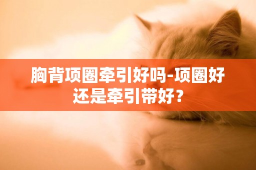 胸背項圈牽引好嗎-項圈好還是牽引帶好？