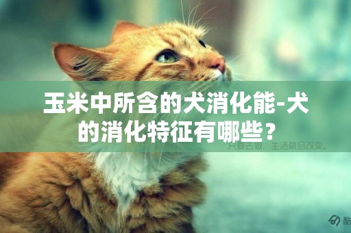 玉米中所含的犬消化能-犬的消化特征有哪些？