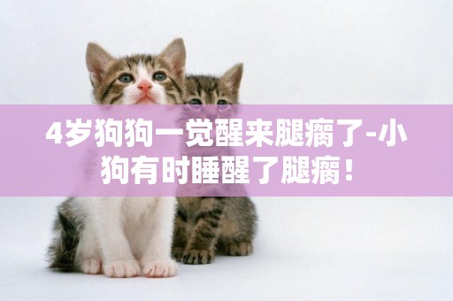 4歲狗狗一覺醒來腿瘸了-小狗有時睡醒了腿瘸！