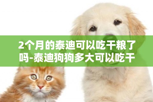 2個月的泰迪可以吃干糧了嗎-泰迪狗狗多大可以吃干糧