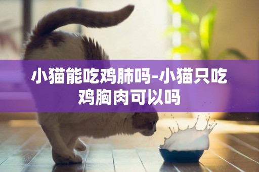 小貓能吃雞肺嗎-小貓只吃雞胸肉可以嗎