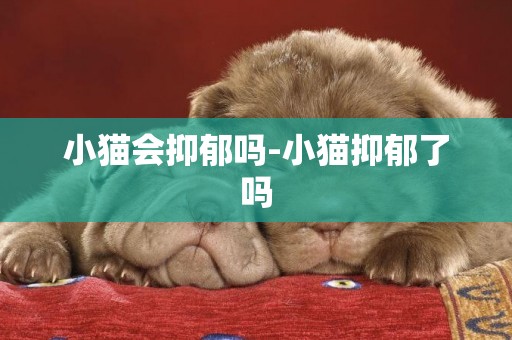 小貓會抑郁嗎-小貓抑郁了嗎