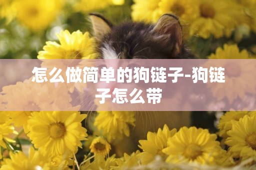 怎么做簡單的狗鏈子-狗鏈子怎么帶