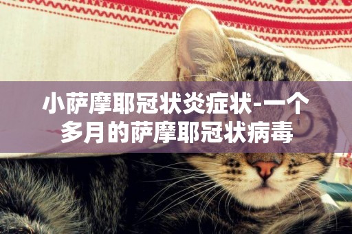 小薩摩耶冠狀炎癥狀-一個多月的薩摩耶冠狀病毒
