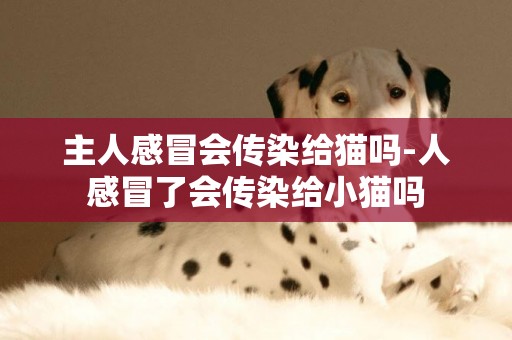 主人感冒會傳染給貓嗎-人感冒了會傳染給小貓嗎