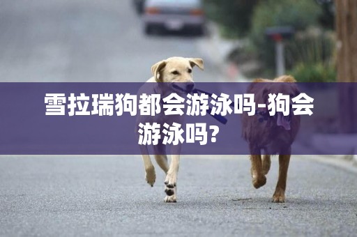 雪拉瑞狗都會游泳嗎-狗會游泳嗎?