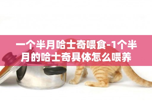 一個半月哈士奇喂食-1個半月的哈士奇具體怎么喂養