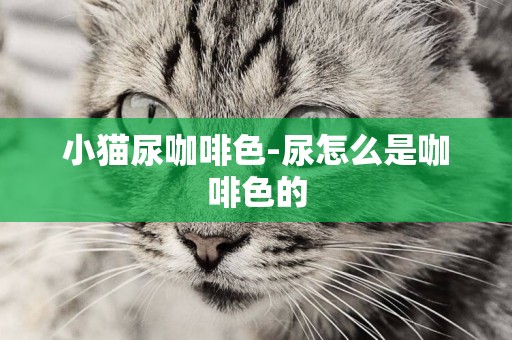 小貓尿咖啡色-尿怎么是咖啡色的