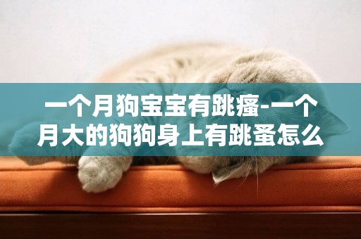 一個月狗寶寶有跳瘙-一個月大的狗狗身上有跳蚤怎么辦