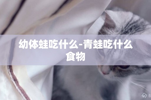 幼體蛙吃什么-青蛙吃什么食物