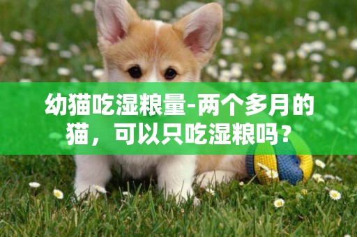 幼貓吃濕糧量-兩個多月的貓，可以只吃濕糧嗎？