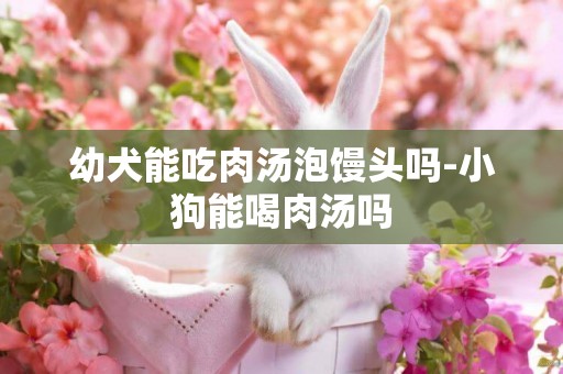幼犬能吃肉湯泡饅頭嗎-小狗能喝肉湯嗎