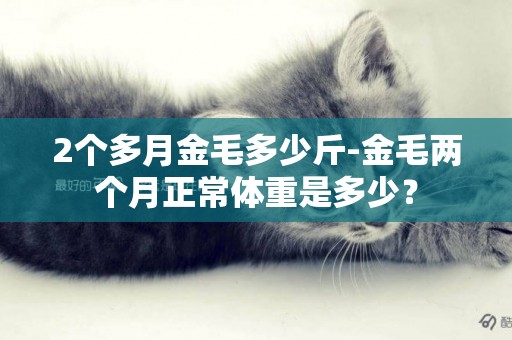 2個多月金毛多少斤-金毛兩個月正常體重是多少？