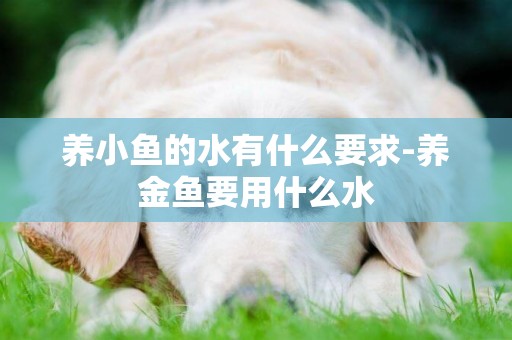 養小魚的水有什么要求-養金魚要用什么水