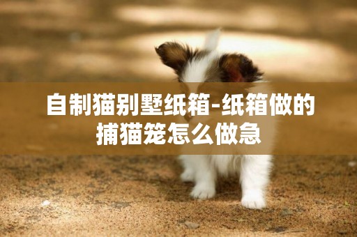 自制貓別墅紙箱-紙箱做的捕貓籠怎么做急