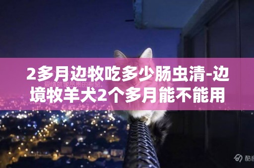 2多月邊牧吃多少腸蟲清-邊境牧羊犬2個多月能不能用史克腸蟲清驅蟲？