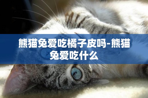 熊貓兔愛吃橘子皮嗎-熊貓兔愛吃什么